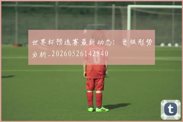 世界杯预选赛最新动态：晋级形势分析_20260526142840